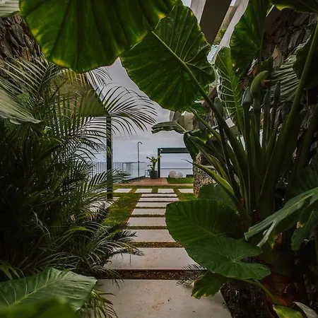 Hébergement de vacances Mea Suna - Exclusive Oceanfront In Madeira *