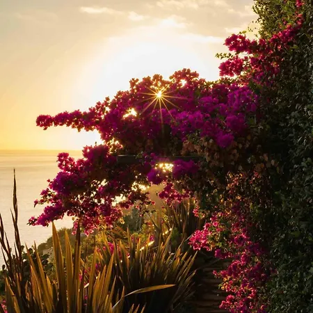 Mea Suna - Exclusive Oceanfront In Madeira