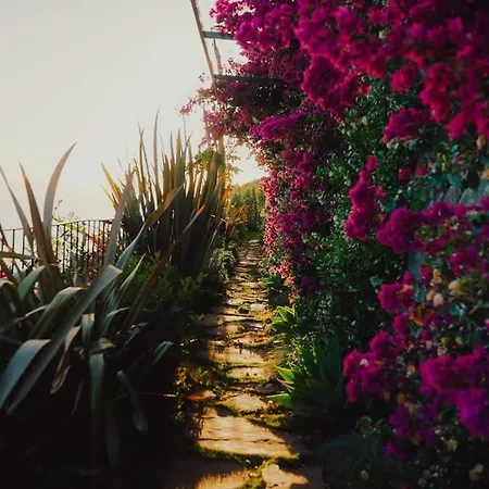 Mea Suna - Exclusive Oceanfront In Madeira Hébergement de vacances *
